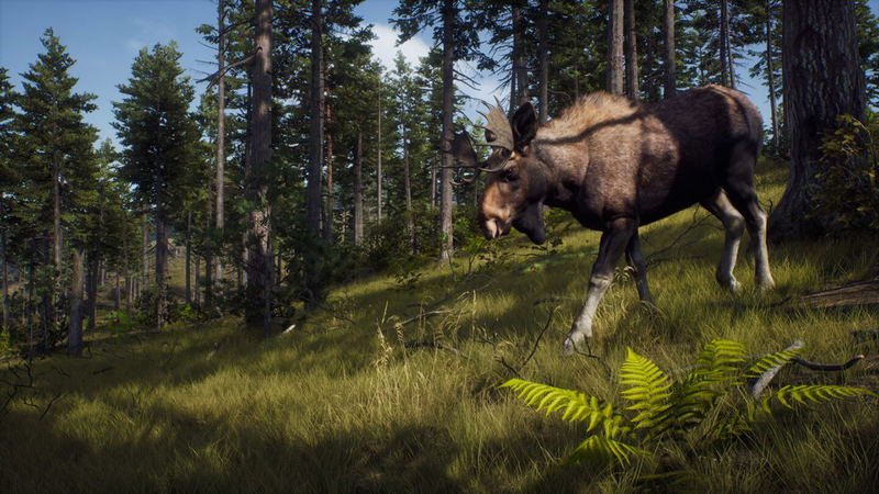 Way of the Hunter [Wild Expeditions] image 4