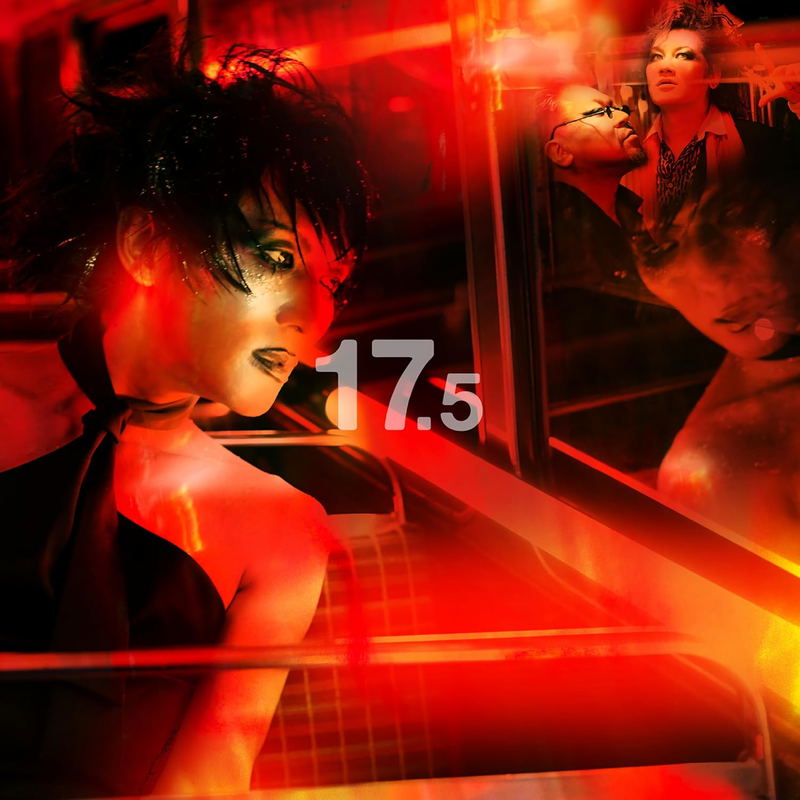 17.5 [CD+DVD] image 1