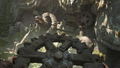 Indiana Jones and the Great Circle thumbnail 6