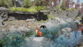 Spirit of the North 2 thumbnail 2