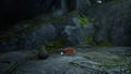 Spirit of the North 2 thumbnail 4