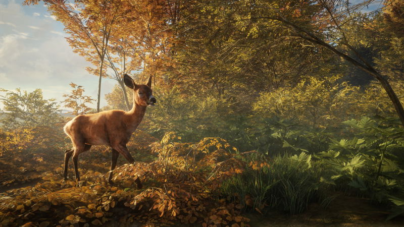 TheHunter: Call of the Wild <span class="ext" style="background-color: #2a475e; color: #FFFFFF;">STEAM</span> <span class="ext ext_digital">digital</span> image 10