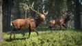 TheHunter: Call of the Wild <span class="ext" style="background-color: #2a475e; color: #FFFFFF;">STEAM</span> <span class="ext ext_digital">digital</span> thumbnail 5