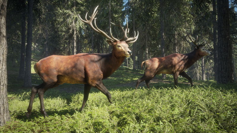 TheHunter: Call of the Wild <span class="ext" style="background-color: #2a475e; color: #FFFFFF;">STEAM</span> <span class="ext ext_digital">digital</span> image 5