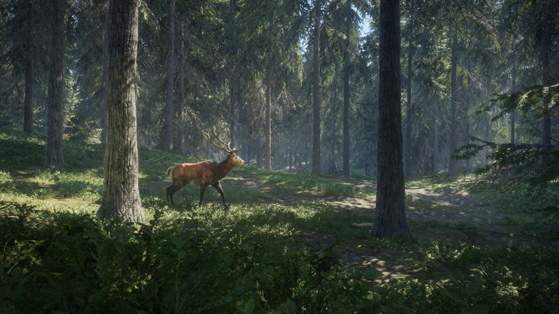 TheHunter: Call of the Wild <span class="ext" style="background-color: #2a475e; color: #FFFFFF;">STEAM</span> <span class="ext ext_digital">digital</span> image 8