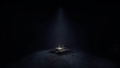 REANIMAL thumbnail 10