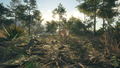 theHunter: Call of the Wild - Rancho del Arroyo <span class="ext" style="background-color: #B0000F; color: #FFFFFF;">DLC</span> <span class="ext" style="background-color: #2a475e; color: #FFFFFF;">STEAM</span> <span class="ext ext_digital">digital</span> thumbnail 11