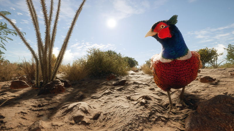 theHunter: Call of the Wild - Rancho del Arroyo <span class="ext" style="background-color: #B0000F; color: #FFFFFF;">DLC</span> <span class="ext" style="background-color: #2a475e; color: #FFFFFF;">STEAM</span> <span class="ext ext_digital">digital</span> image 3