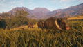 theHunter: Call of the Wild - Rancho del Arroyo <span class="ext" style="background-color: #B0000F; color: #FFFFFF;">DLC</span> <span class="ext" style="background-color: #2a475e; color: #FFFFFF;">STEAM</span> <span class="ext ext_digital">digital</span> thumbnail 6