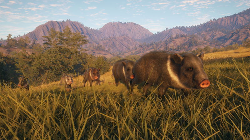 theHunter: Call of the Wild - Rancho del Arroyo <span class="ext" style="background-color: #B0000F; color: #FFFFFF;">DLC</span> <span class="ext" style="background-color: #2a475e; color: #FFFFFF;">STEAM</span> <span class="ext ext_digital">digital</span> image 6
