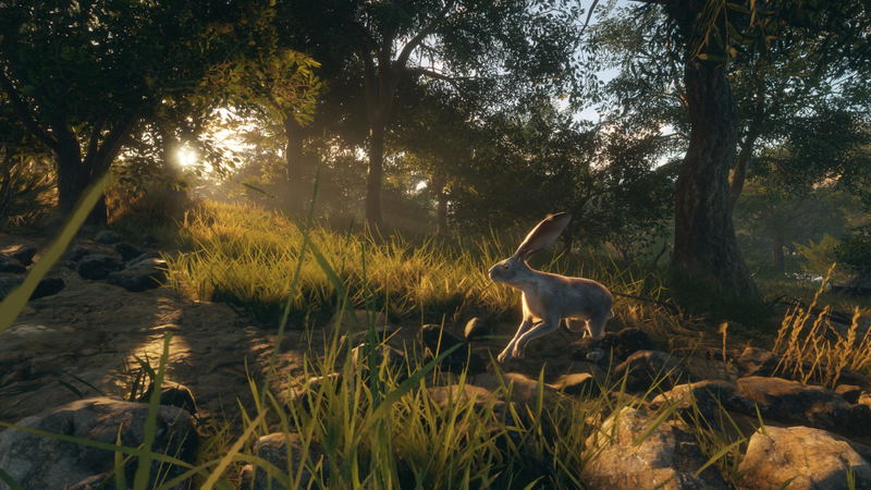 theHunter: Call of the Wild - Rancho del Arroyo <span class="ext" style="background-color: #B0000F; color: #FFFFFF;">DLC</span> <span class="ext" style="background-color: #2a475e; color: #FFFFFF;">STEAM</span> <span class="ext ext_digital">digital</span> image 8