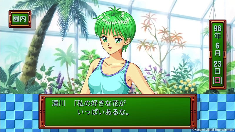 Tokimeki Memorial: forever with you Emotional image 8