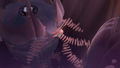 Cocoon (Multi-Language) thumbnail 3