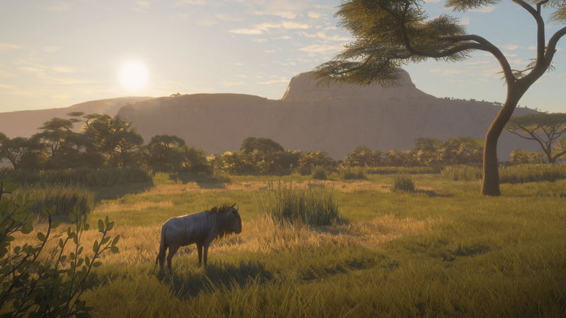 theHunter: Call of the Wild - Vurhonga Savanna <span class="ext" style="background-color: #B0000F; color: #FFFFFF;">DLC</span> <span class="ext" style="background-color: #2a475e; color: #FFFFFF;">STEAM</span> <span class="ext ext_digital">digital</span> image 12