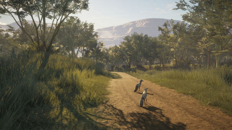 theHunter: Call of the Wild - Vurhonga Savanna <span class="ext" style="background-color: #B0000F; color: #FFFFFF;">DLC</span> <span class="ext" style="background-color: #2a475e; color: #FFFFFF;">STEAM</span> <span class="ext ext_digital">digital</span> image 6