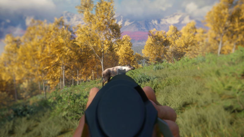 TheHunter: Call of the Wild - Weapon Pack 3 (DLC) <span class="ext" style="background-color: #B0000F; color: #FFFFFF;">DLC</span> <span class="ext" style="background-color: #2a475e; color: #FFFFFF;">STEAM</span> <span class="ext ext_digital">digital</span> image 3