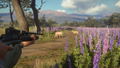TheHunter: Call of the Wild - Weapon Pack 3 (DLC) <span class="ext" style="background-color: #B0000F; color: #FFFFFF;">DLC</span> <span class="ext" style="background-color: #2a475e; color: #FFFFFF;">STEAM</span> <span class="ext ext_digital">digital</span> thumbnail 5