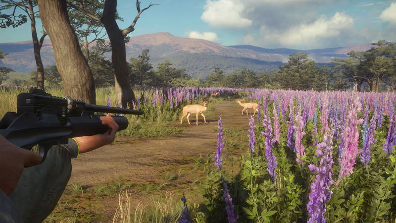 TheHunter: Call of the Wild - Weapon Pack 3 (DLC) <span class="ext" style="background-color: #B0000F; color: #FFFFFF;">DLC</span> <span class="ext" style="background-color: #2a475e; color: #FFFFFF;">STEAM</span> <span class="ext ext_digital">digital</span> image 5