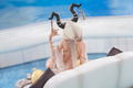 Azur Lane 1/7 Scale Pre-Painted Figure: Owari Shimmering Forsythia Ver. thumbnail 15