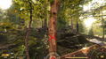 Forest Ranger Simulator - Early Access <span class="ext" style="background-color: #2a475e; color: #FFFFFF;">STEAM</span> <span class="ext ext_digital">digital</span> thumbnail 13