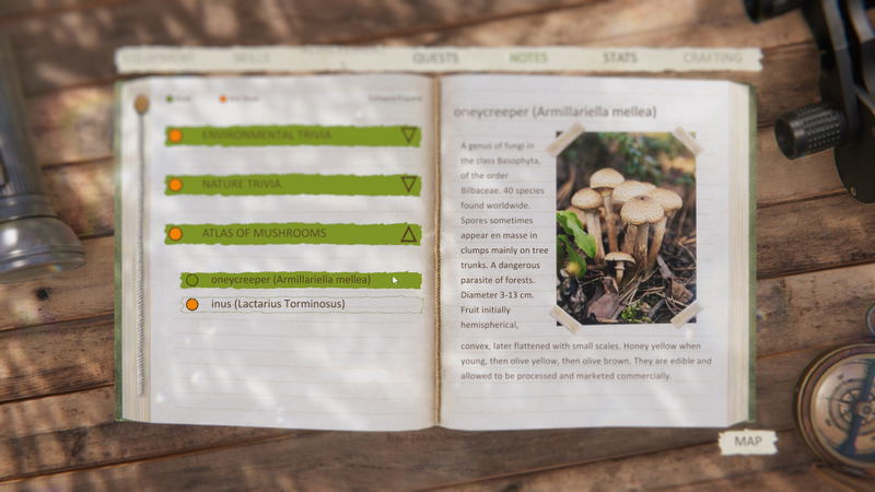 Forest Ranger Simulator - Early Access <span class="ext" style="background-color: #2a475e; color: #FFFFFF;">STEAM</span> <span class="ext ext_digital">digital</span> image 21