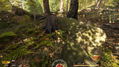Forest Ranger Simulator - Early Access <span class="ext" style="background-color: #2a475e; color: #FFFFFF;">STEAM</span> <span class="ext ext_digital">digital</span> thumbnail 27