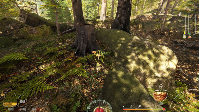 Forest Ranger Simulator - Early Access <span class="ext" style="background-color: #2a475e; color: #FFFFFF;">STEAM</span> <span class="ext ext_digital">digital</span> image 27