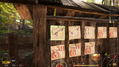 Forest Ranger Simulator - Early Access <span class="ext" style="background-color: #2a475e; color: #FFFFFF;">STEAM</span> <span class="ext ext_digital">digital</span> thumbnail 6
