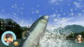Reel Fishing: Days of Summer (Multi-Language) thumbnail 4