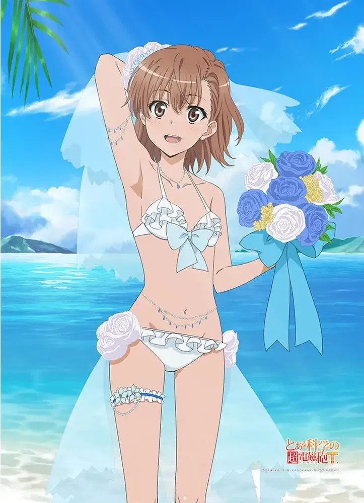 A Certain Scientific Railgun T Original Illustration B2 Tapestry