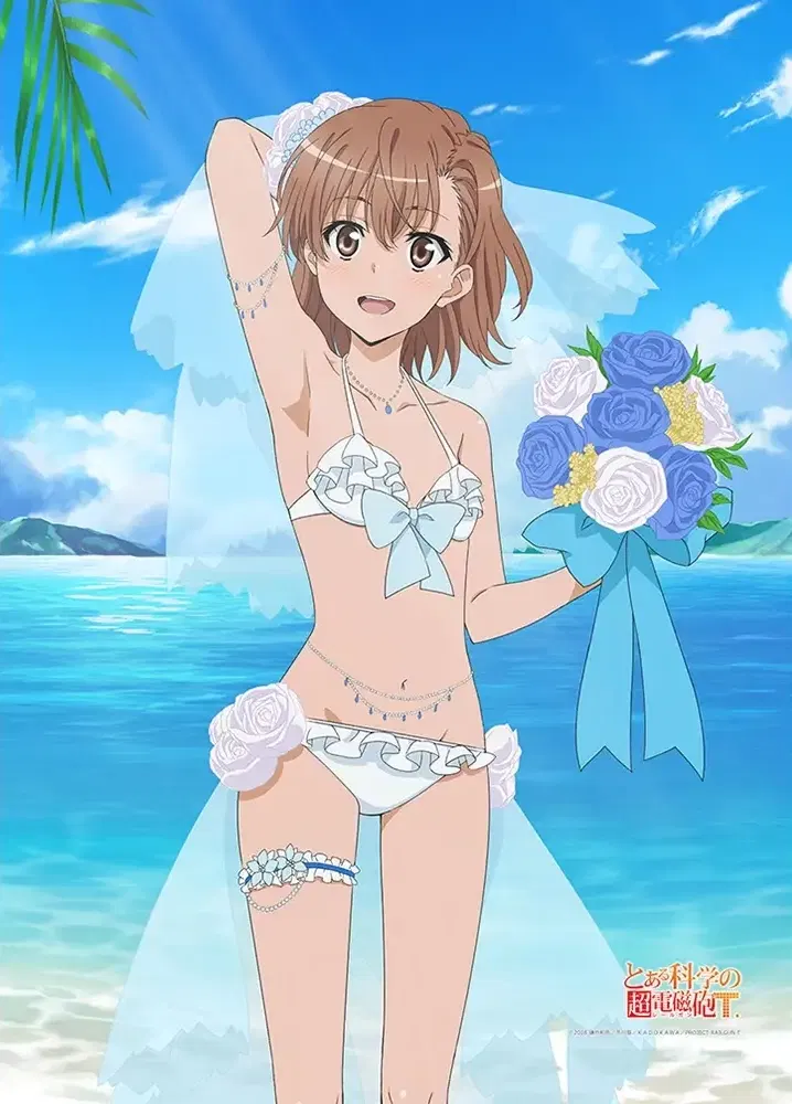 A Certain Scientific Railgun T Original Illustration B2 Tapestry