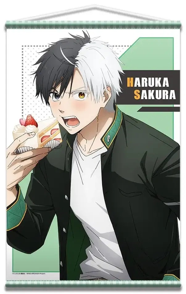 Wind Breaker B2 Tapestry Design 01 Sakura Haruka