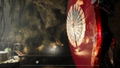 Predator: Hunting Grounds thumbnail 7