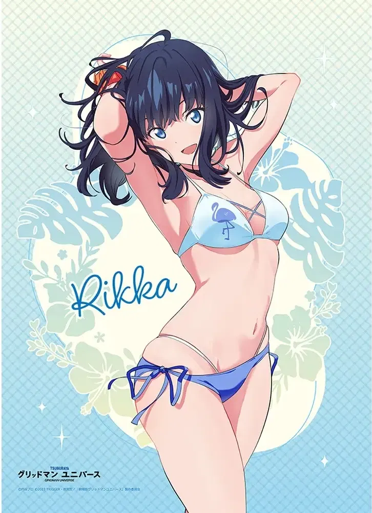 Rikka Takarada swimwear B2 tapestry Gridman Universe