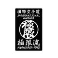 The King Of Fighters XV Kyokugenryu Karate Outdoor Sticker thumbnail 1