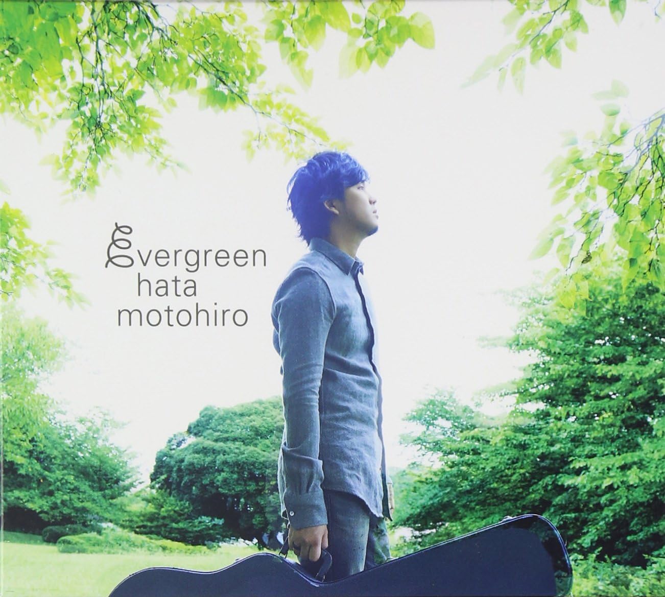 Evergreen [Limited Edition] (Vinyl) — Import Game Deal