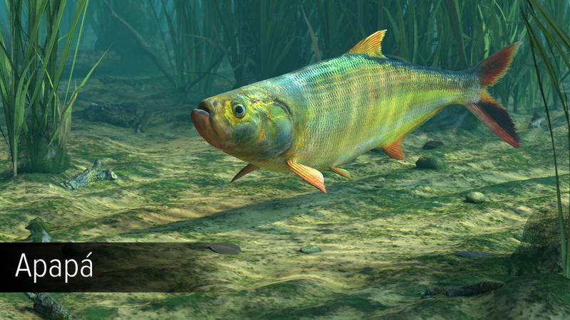 Ultimate Fishing Simulator: Amazon River (DLC) <span class="ext" style="background-color: #B0000F; color: #FFFFFF;">DLC</span> <span class="ext" style="background-color: #2a475e; color: #FFFFFF;">STEAM</span> <span class="ext ext_digital">digital</span> image 10