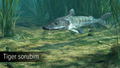 Ultimate Fishing Simulator: Amazon River (DLC) <span class="ext" style="background-color: #B0000F; color: #FFFFFF;">DLC</span> <span class="ext" style="background-color: #2a475e; color: #FFFFFF;">STEAM</span> <span class="ext ext_digital">digital</span> thumbnail 12