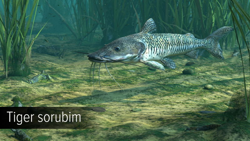 Ultimate Fishing Simulator: Amazon River (DLC) <span class="ext" style="background-color: #B0000F; color: #FFFFFF;">DLC</span> <span class="ext" style="background-color: #2a475e; color: #FFFFFF;">STEAM</span> <span class="ext ext_digital">digital</span> image 12