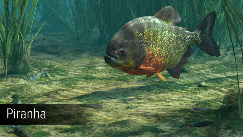 Ultimate Fishing Simulator: Amazon River (DLC) <span class="ext" style="background-color: #B0000F; color: #FFFFFF;">DLC</span> <span class="ext" style="background-color: #2a475e; color: #FFFFFF;">STEAM</span> <span class="ext ext_digital">digital</span> image 13
