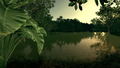 Ultimate Fishing Simulator: Amazon River (DLC) <span class="ext" style="background-color: #B0000F; color: #FFFFFF;">DLC</span> <span class="ext" style="background-color: #2a475e; color: #FFFFFF;">STEAM</span> <span class="ext ext_digital">digital</span> thumbnail 14