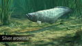 Ultimate Fishing Simulator: Amazon River (DLC) <span class="ext" style="background-color: #B0000F; color: #FFFFFF;">DLC</span> <span class="ext" style="background-color: #2a475e; color: #FFFFFF;">STEAM</span> <span class="ext ext_digital">digital</span> thumbnail 16
