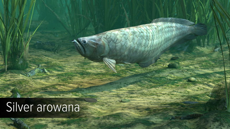 Ultimate Fishing Simulator: Amazon River (DLC) <span class="ext" style="background-color: #B0000F; color: #FFFFFF;">DLC</span> <span class="ext" style="background-color: #2a475e; color: #FFFFFF;">STEAM</span> <span class="ext ext_digital">digital</span> image 16