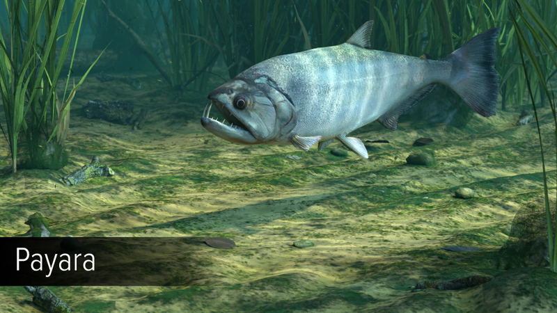 Ultimate Fishing Simulator: Amazon River (DLC) <span class="ext" style="background-color: #B0000F; color: #FFFFFF;">DLC</span> <span class="ext" style="background-color: #2a475e; color: #FFFFFF;">STEAM</span> <span class="ext ext_digital">digital</span> image 17