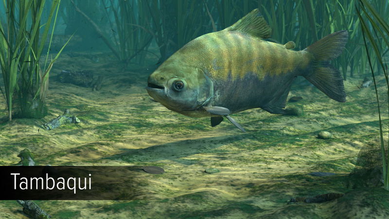 Ultimate Fishing Simulator: Amazon River (DLC) <span class="ext" style="background-color: #B0000F; color: #FFFFFF;">DLC</span> <span class="ext" style="background-color: #2a475e; color: #FFFFFF;">STEAM</span> <span class="ext ext_digital">digital</span> image 18