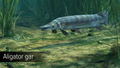 Ultimate Fishing Simulator: Amazon River (DLC) <span class="ext" style="background-color: #B0000F; color: #FFFFFF;">DLC</span> <span class="ext" style="background-color: #2a475e; color: #FFFFFF;">STEAM</span> <span class="ext ext_digital">digital</span> thumbnail 2