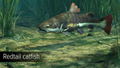 Ultimate Fishing Simulator: Amazon River (DLC) <span class="ext" style="background-color: #B0000F; color: #FFFFFF;">DLC</span> <span class="ext" style="background-color: #2a475e; color: #FFFFFF;">STEAM</span> <span class="ext ext_digital">digital</span> thumbnail 6