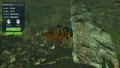 Ultimate Fishing Simulator: Aquariums (DLC) <span class="ext" style="background-color: #B0000F; color: #FFFFFF;">DLC</span> <span class="ext" style="background-color: #2a475e; color: #FFFFFF;">STEAM</span> <span class="ext ext_digital">digital</span> thumbnail 6