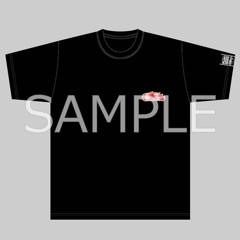 Racing Miku 2024 Ver. Key Visual Side Silhouette & Race Record T-shirt ...