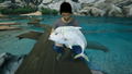 Ultimate Fishing Simulator 2 <span class="ext" style="background-color: #2a475e; color: #FFFFFF;">STEAM</span> <span class="ext ext_digital">digital</span> thumbnail 15